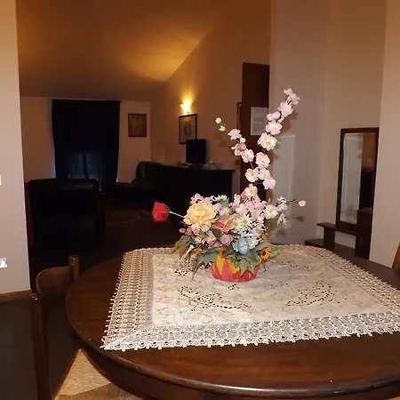 蒙特卡蒂尼假日旅馆 *